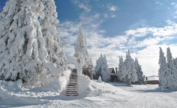 Studio Atlantic Apartment Pamporovo Exterior photo